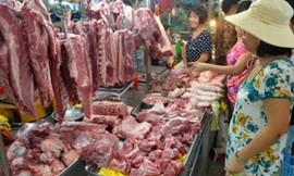 Để tránh ăn phải lợn bệnh, Cục Thú y khuyến cáo người dân cần mua thịt, sản phẩm thịt từ những cơ sở có uy tín, có nguồn gốc rõ ràng ảnh: Bình Phương 