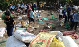 Đê bao và lúa ma nơi đỉnh lũ