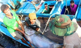  Đánh bắt xa bờ vừa hiệu quả, tránh tận diệt thủy sản nhỏ, tập trung gần bờ.