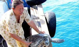 bà Nguyễn Thị Hòa