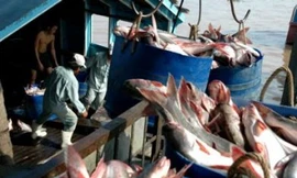 Thủy sản Việt Nam sẽ tăng giá cá tra xuất khẩu