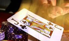 Phá ổ bạc quý bà