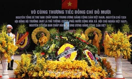 Ảnh: Trọng Đảng