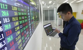 Một số chuyên gia xem đợt giảm điểm này của chứng khoán Việt Nam là cơ hội để mua vào.