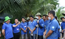 Hoạt động tình nguyện Hè 2024 tại TP. HCM sẽ diễn ra từ 2/6 - 4/8