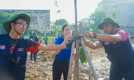 Tuổi trẻ TP. HCM hăng hái cải tạo kênh rạch, trồng nhiều cây xanh nhằm bảo vệ môi trường
