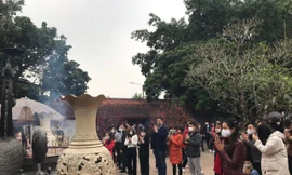 Đầu năm bạn trẻ đi đền Trần Nam Định để cầu công danh