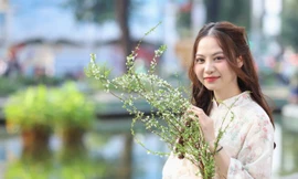 Bạn trẻ chọn kiểu áo dài nào cho mùa Tết 2025?