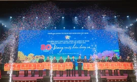 Sôi động Liên hoan Nghệ thuật quần chúng Lực lượng vũ trang và Thanh niên, sinh viên lần thứ X, Khu vực II