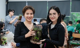 Giới trẻ thích thú với workshop 'trồng cây trong lồng kính'