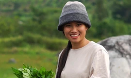 Chuyện cô gái bỏ phố về quê: “Chỉ cần đêm về ngon giấc”