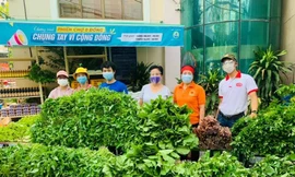 TP. HCM: Ra mắt "Phiên chợ 0 đồng - Chung tay vì cộng đồng"