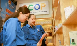 Nhiều công trình, hoạt động thiết thực của tuổi trẻ TPHCM hưởng ứng ngày hội nông thôn mới