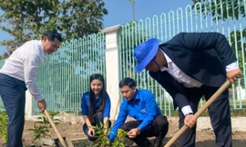 Tỉnh Đoàn Long An huy động hơn 3 tỷ đồng cho các hoạt động Tháng Thanh niên