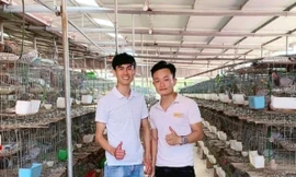 Lựa chọn làm giàu trên mảnh đất quê hương