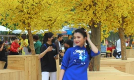 Lễ hội Tết Việt 2024 tại TP. HCM có gì cuốn hút bạn trẻ?