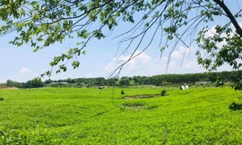 Thú vị tọa đàm “Hiểu về trồng rừng giữ nước”