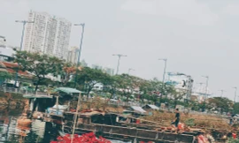 Chợ hoa Xuân ‘Trên bến dưới thuyền’ TP. HCM bắt đầu hoạt động từ ngày 25/1