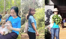 Những tình nguyện viên cứu hộ động vật hoang dã