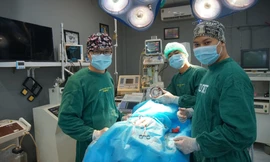 Chàng trai lập tổng đài tư vấn sức khỏe miễn phí cho chó, mèo 