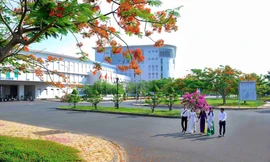 Trường ĐH An Giang (ĐHQG TP. HCM) trở thành thành viên dự án quốc tế về âm nhạc