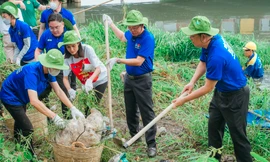 Đoàn viên, thanh niên TPHCM ra quân Chủ nhật xanh lần thứ 150