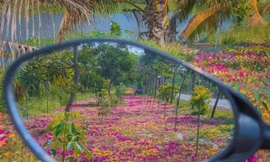 Độc đáo bộ ảnh miền quê qua gương chiếu hậu