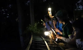 Bạn trẻ ‘phát sốt’ với tour tham quan ban đêm tại Thảo Cầm Viên Sài Gòn