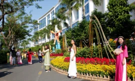 Hấp dẫn Hội hoa Xuân Phú Mỹ Hưng Tết Giáp Thìn 2024