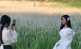 Bạn trẻ Sài Gòn mê mẩn bởi đồng cỏ lau Làng Đại học Thủ Đức đang mùa bung nở 