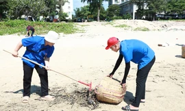 Hàng trăm sinh viên tham gia làm sạch biển tại TP. Vũng Tàu