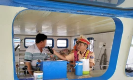 Xử lý hàng loạt lái tàu, thuyền viên vi phạm nồng độ cồn