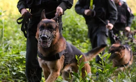 Bắt 6 đối tượng tham gia vụ nổ súng tấn công trụ sở công an xã ở Đắk Lắk