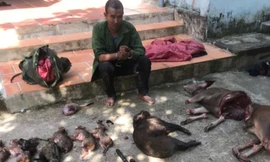 Bắt giữ 5 thợ săn dùng súng tự chế tấn công kiểm lâm