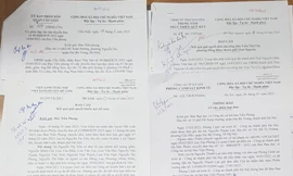 Cơ quan chức năng xác minh đơn tố cáo chấp hành viên dừng cuộc đấu giá giữa chừng 