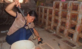 Đánh cược sinh mạng với nghề nuôi rắn độc ở Vĩnh Phúc