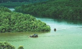 Khu di tích chiến khu rừng Sác