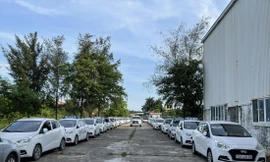 Xe nằm phơi sương, phơi nắng tại nhiều bãi ở Hải Phòngvì không có khách. Ảnh: Thanh Hải