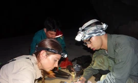 TS Ngô Ngọc Hải (bên phải) cùng chuyên gia nghiên cứu nước ngoài trong một chuyến khảo sát thực địa