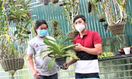 Anh Long (bên phải) giới thiệu vườn lan