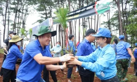 Bạn trẻ ở Đắk Nông hưởng ứng trồng cây xanh tại xã Quảng Sơn, huyện Đắk G’long. ẢNH: HUỲNH THỦY