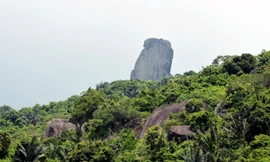 Tương truyền phiến đá trên núi Đá Bia gắn với việc Vua Lê Thánh Tông phân định cương thổ đất nước. Ảnh: Như Ý
