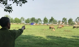 Một dự án thu hồi đất rồi bỏ hoang tại Mê Linh, Hà Nội. Ảnh: Minh Tuấn