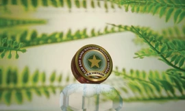 Cao Sao Vàng đắt hàng ở thị trường thế giới