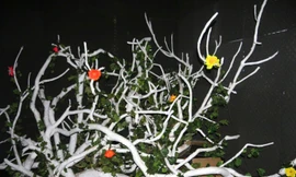 Từ ánh sáng của điện thoại chiếu lên từng bông hoa thì chúng sẽ phản hồi những âm thanh khác nhau