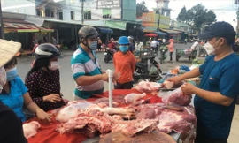 Giá lợn thấp kỷ lục: Nông dân khóc ròng