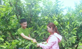 Nguyễn Đức Thành chia sẻ cách trồng các loại cây ăn trái