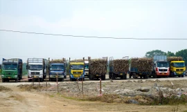 Hàng loạt ô tô quá khổ tập kết ở khuôn viên Nhà máy Đường An Khê