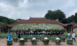 Sân Thái Học của Văn Miếu Quốc Tử Giám khác lạ trong buổi chiều 6/4 với lều lợp lá cọ làm khung cảnh họp báo và 5.000 chậu cây gai, nong kén… Ảnh: VI KHANH