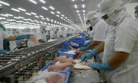 Chế biến cá tra xuất khẩu tại Đồng bằng sông Cửu Long. ẢNH: CẢNH KỲ